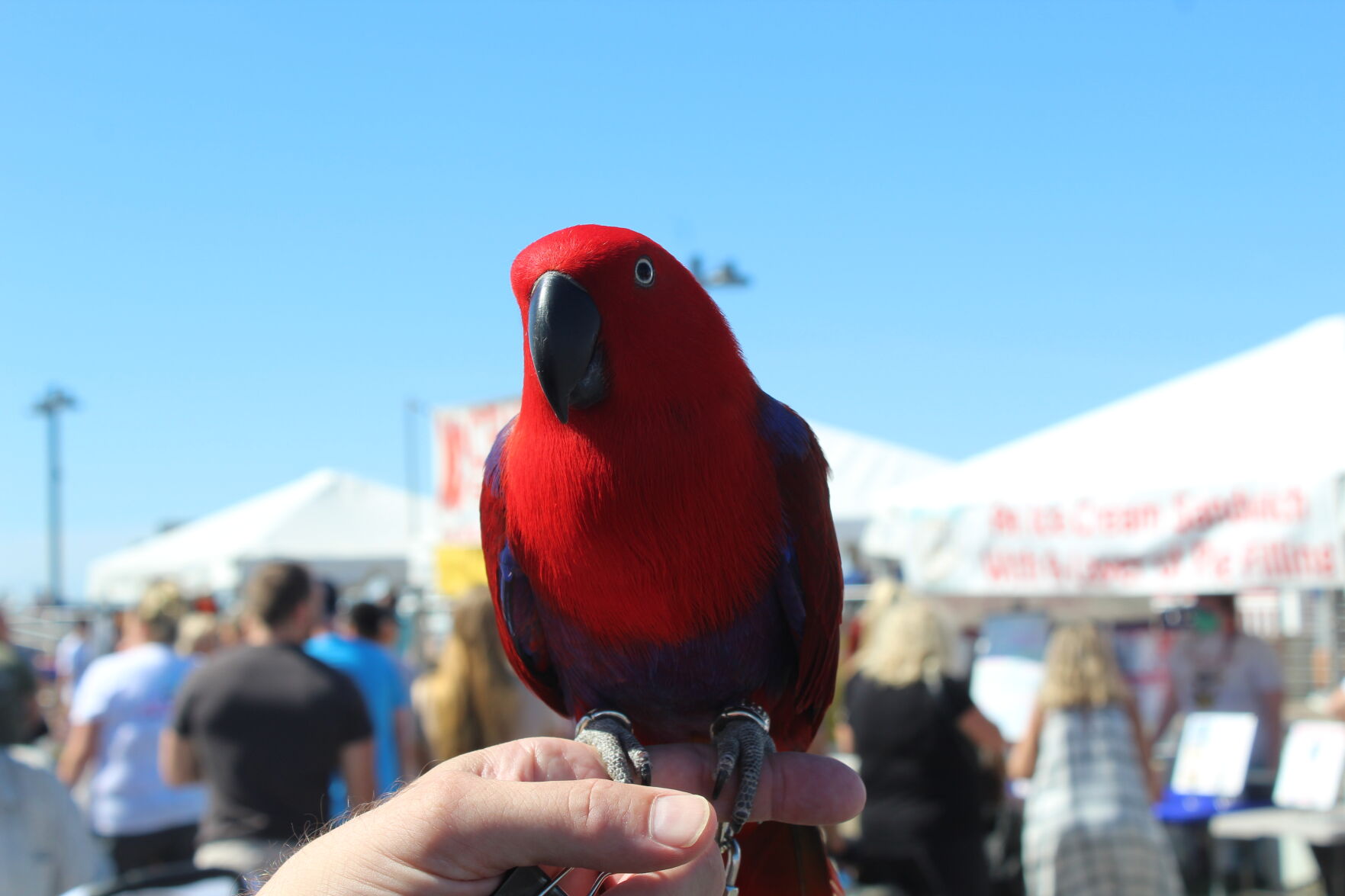 Margate Fall Funfest By The Bay_6061.JPG